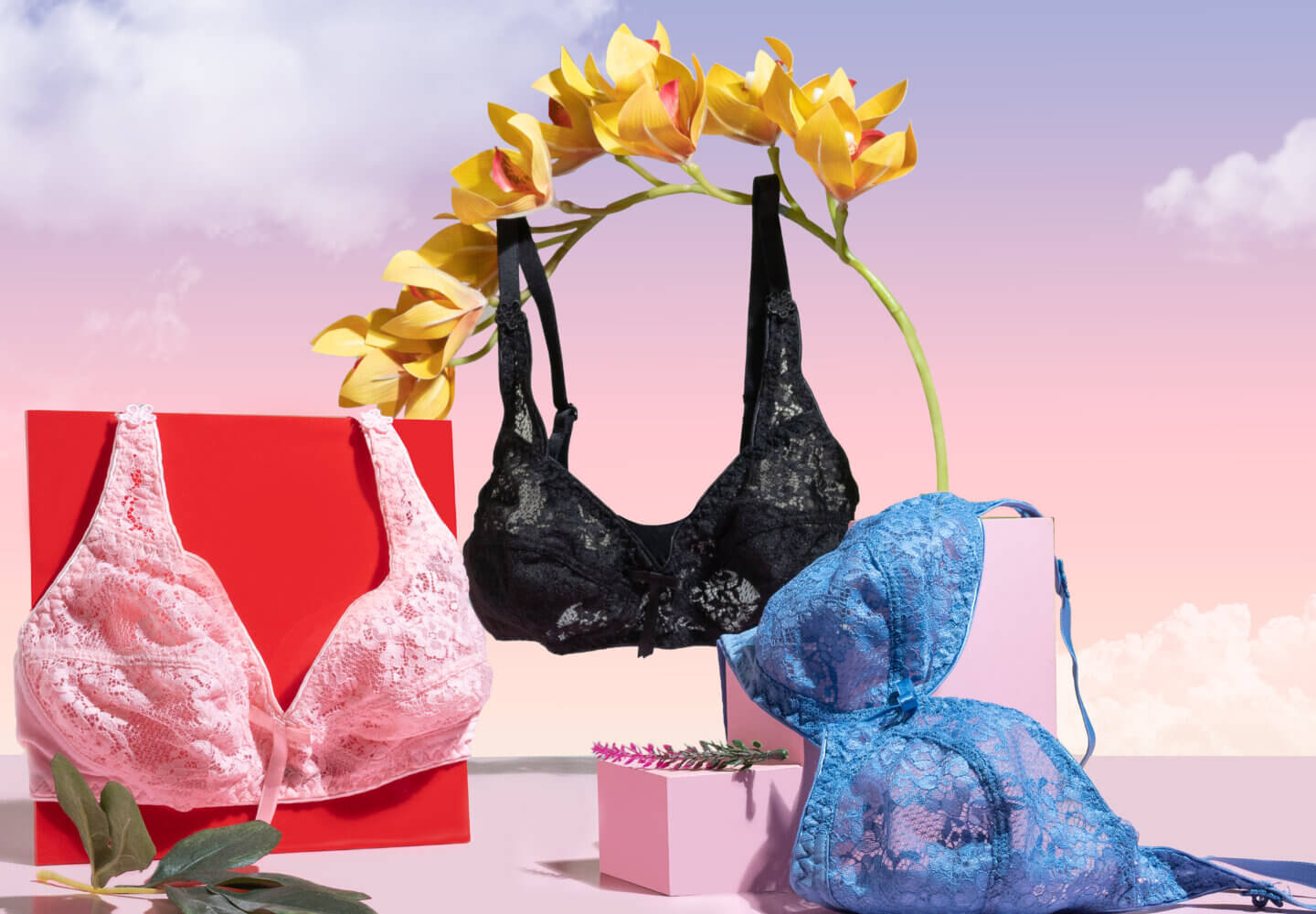 the science of lingerie