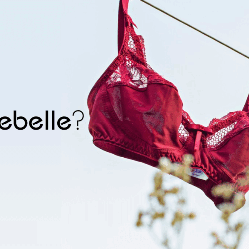 #13 Switching Lingerie Brands? 👙 Check the Size Chart!